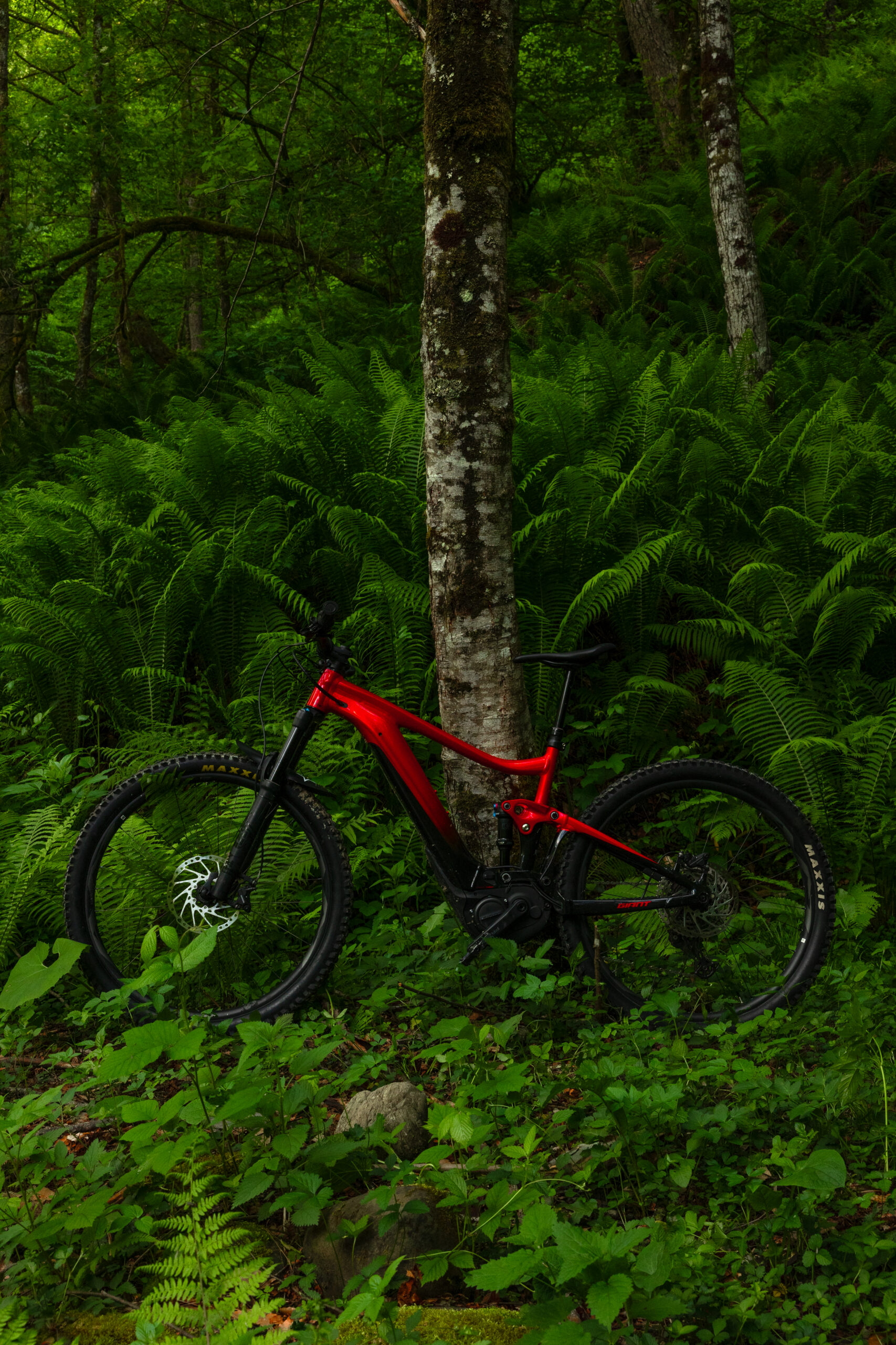Наш велосипед Giant Trance X advanced