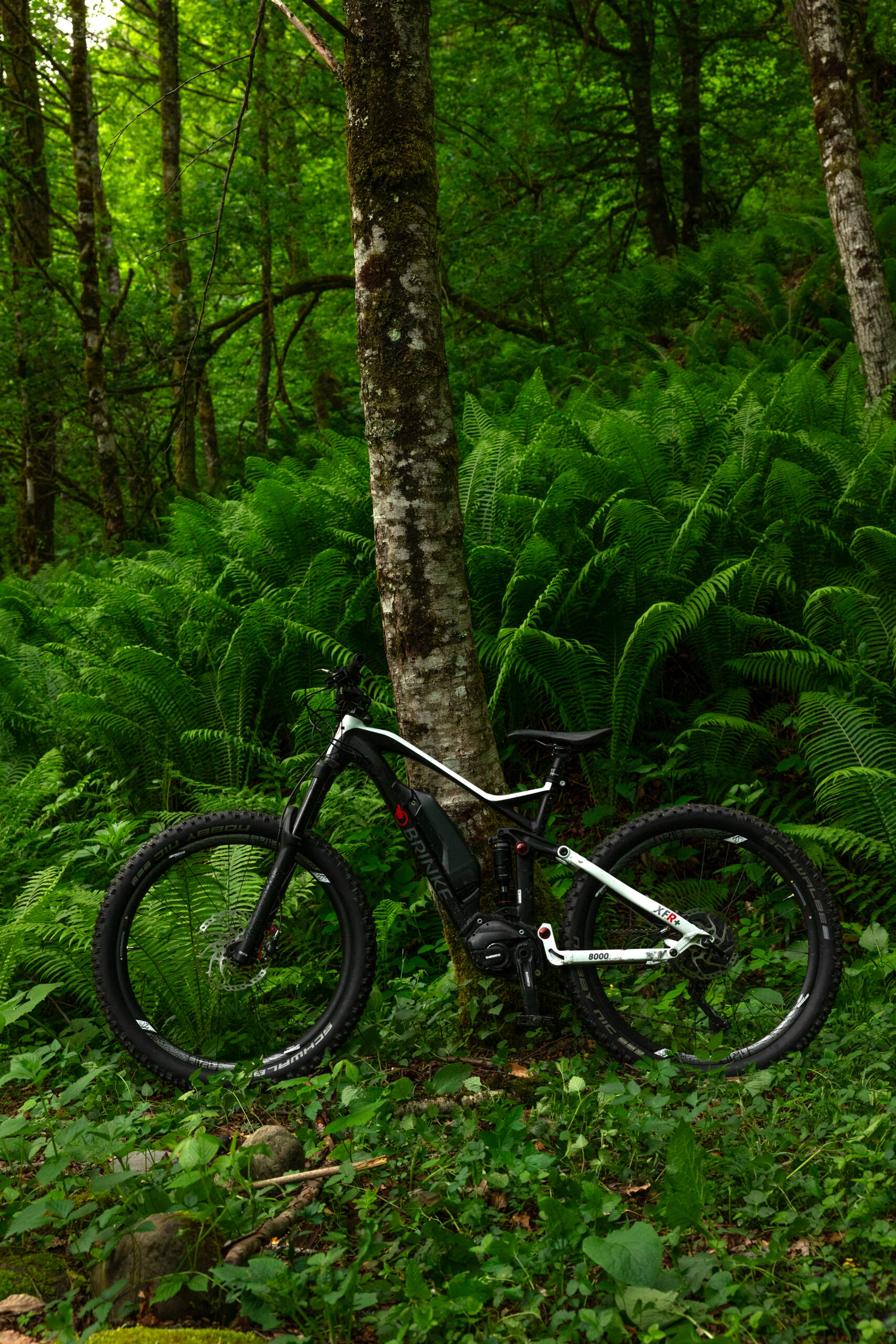 Наш велосипед Brinke XFR+8000